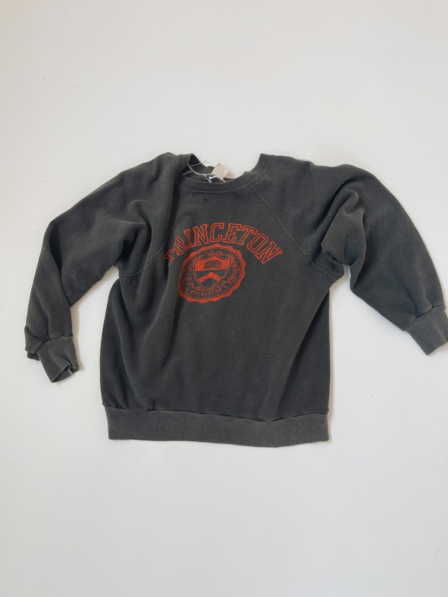Vintage Princeton Sweatshirt